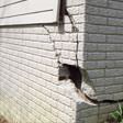foundation walls cracked due to settlement in Kansas City