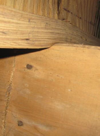 severe damage to a crawl space structure in a Blue Springs home